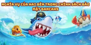 Nghĩa Vụ Của Hai Bên Trong Chính Sách Bảo Mật Bancah5 