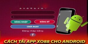 Quy trình cài đặt ứng dụng cho hai hệ điều hành